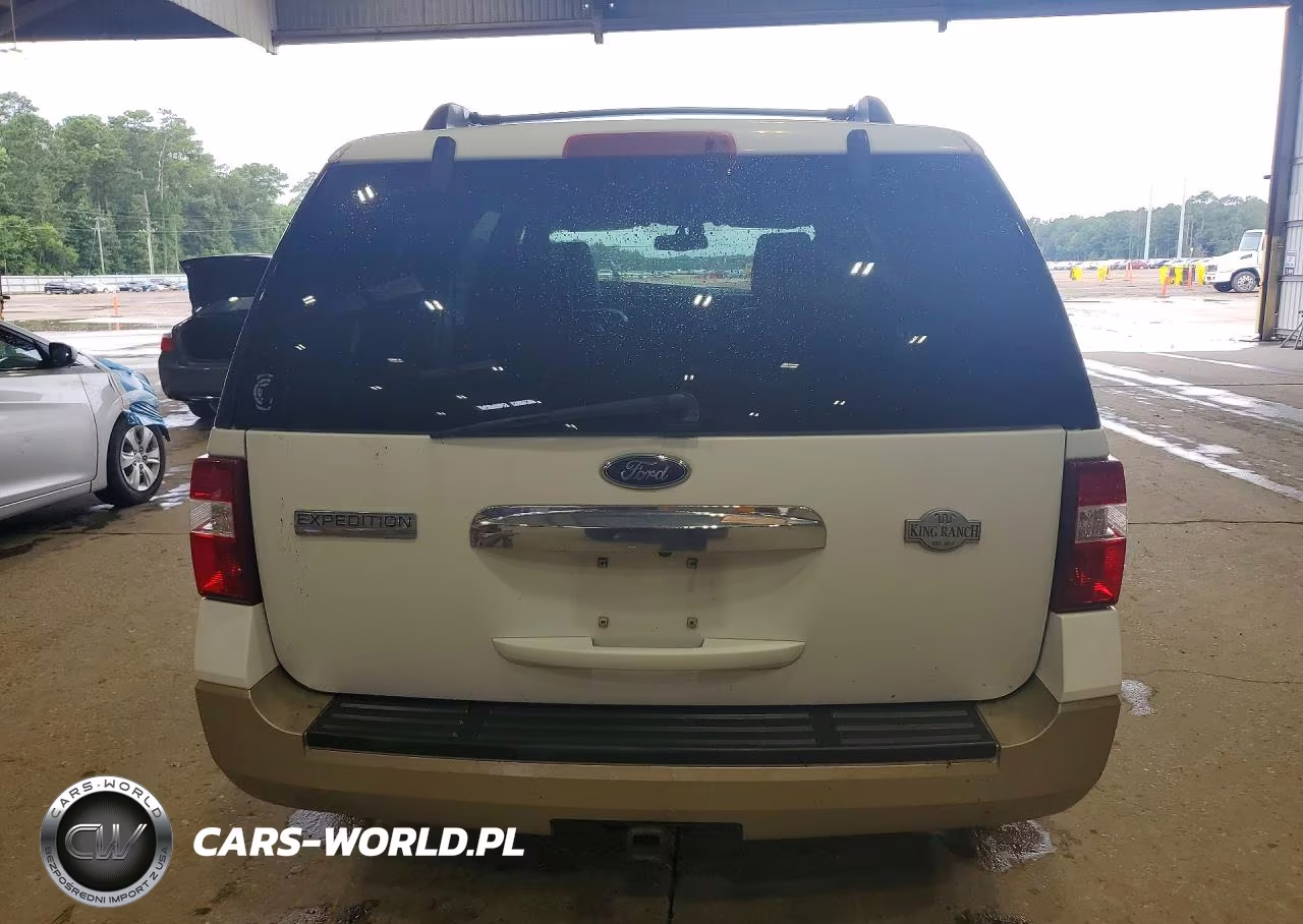 2009 Ford Expedition Eddie Bauer VIN:1FMFU17559EA71647 - 6