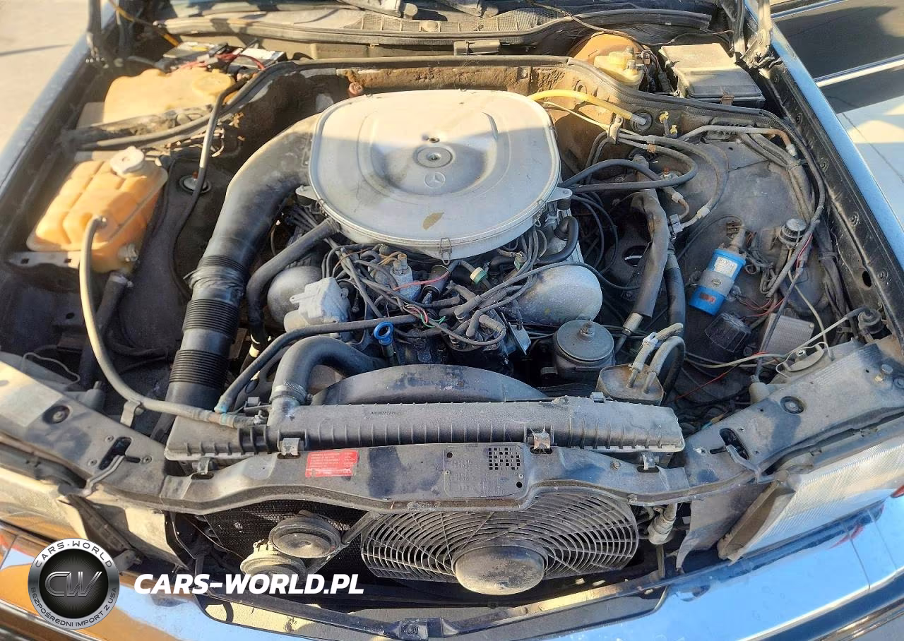 1982 Mercedes-Benz 380 Sec VIN:WDBCA43A7CB002812 - 11