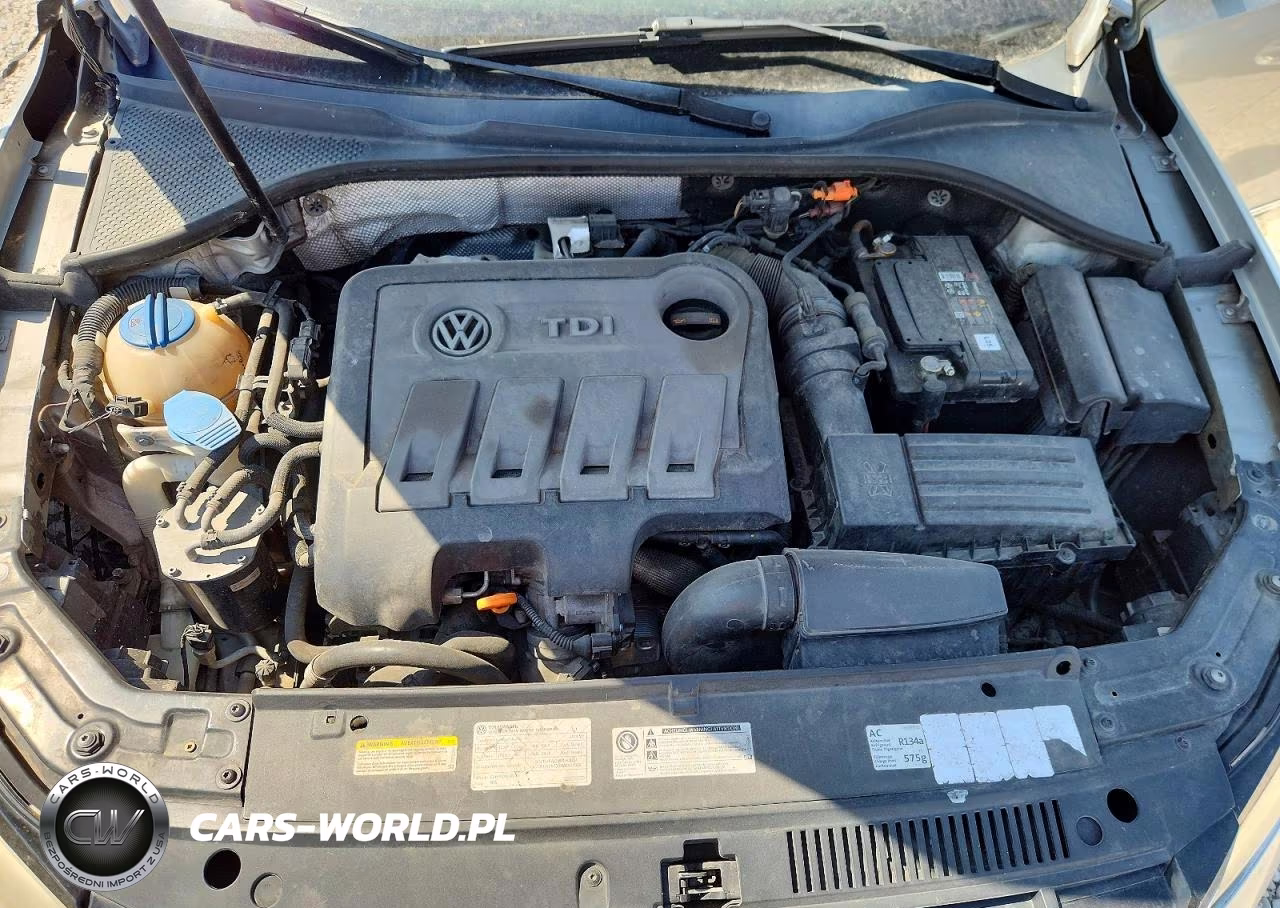 2014 Volkswagen Passat Sel VIN:1VWCN7A31EC017814 - 11