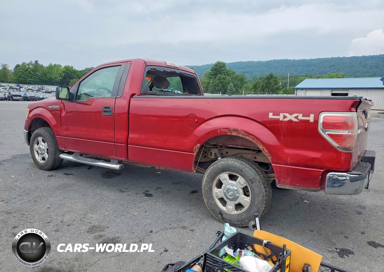 2013 Ford F150 VIN:1FTNF1EF6DKE09475 - 2