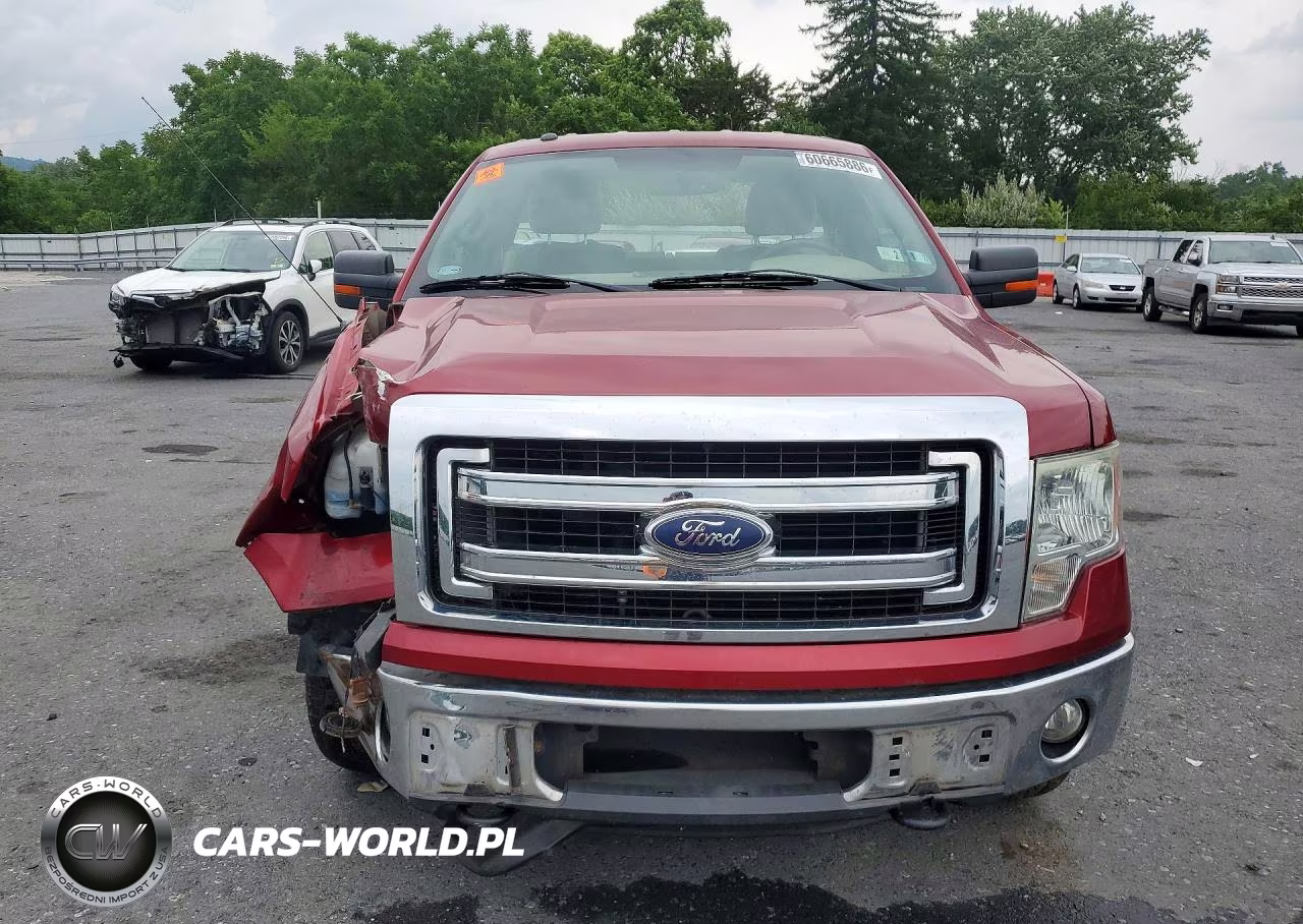 2013 Ford F150 VIN:1FTNF1EF6DKE09475 - 5