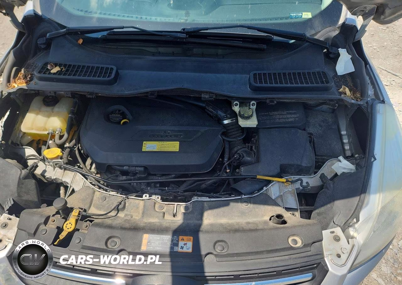 2014 Ford Escape Se VIN:1FMCU0GX1EUA38241 - 11