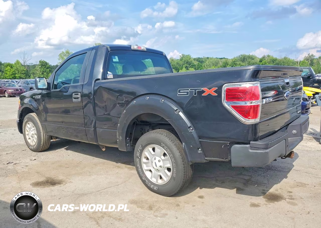 2013 Ford F150 VIN:1FTMF1CM7DKD00052 - 2