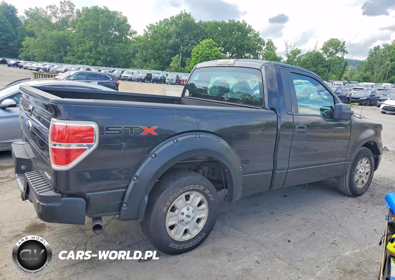 2013 Ford F150 VIN:1FTMF1CM7DKD00052 - 3