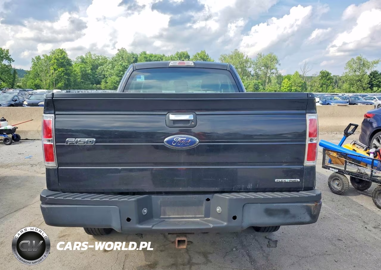 2013 Ford F150 VIN:1FTMF1CM7DKD00052 - 6