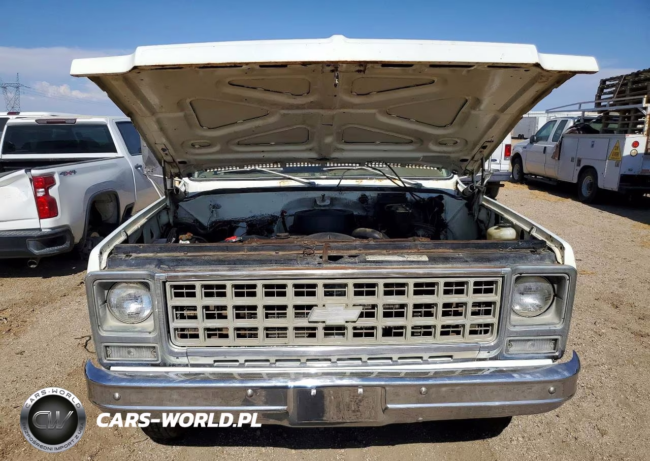 1980 Chevrolet C 30 VIN:CCM33AJ118229 - 5
