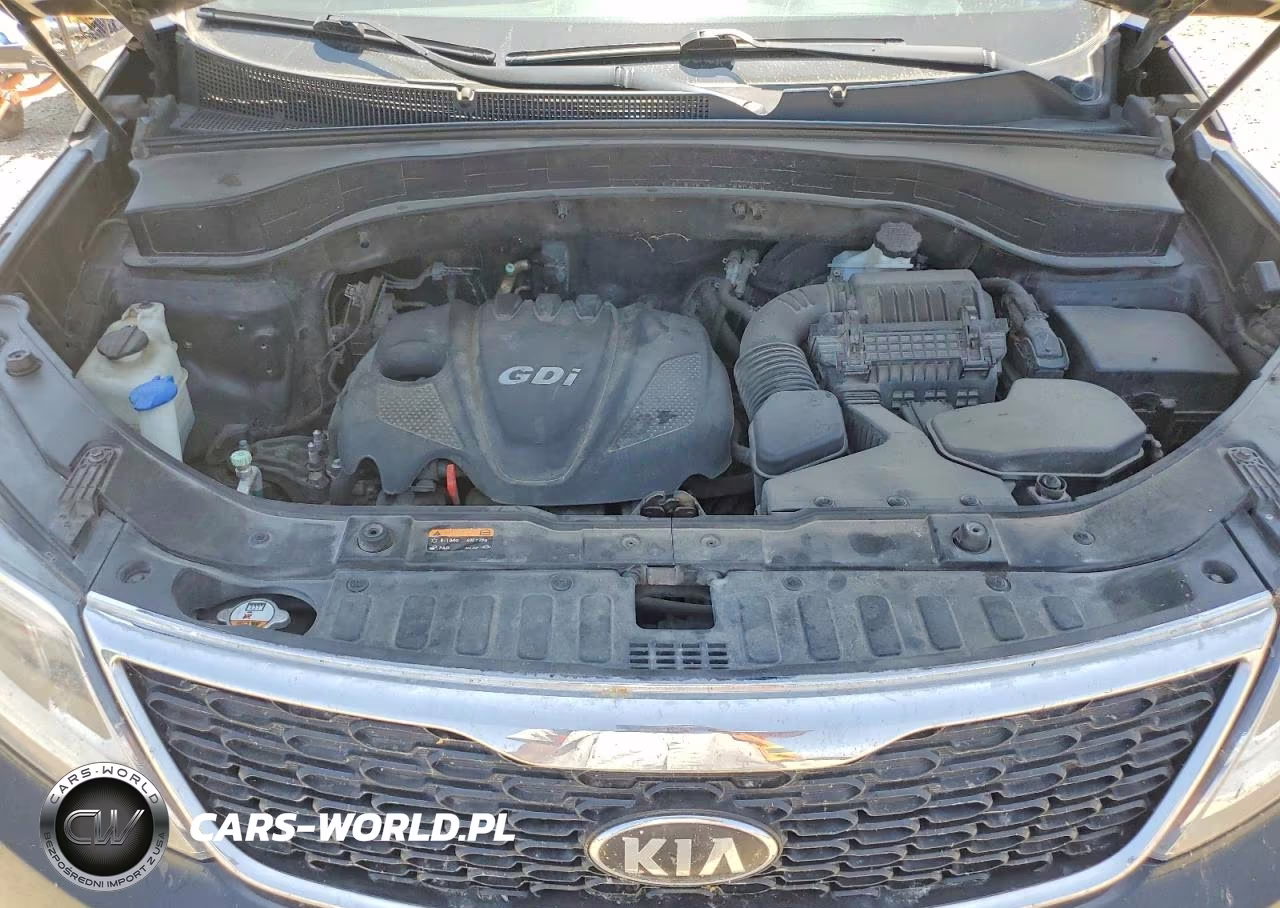 2014 Kia Sorento Lx VIN:5XYKTDA61EG521157 - 12