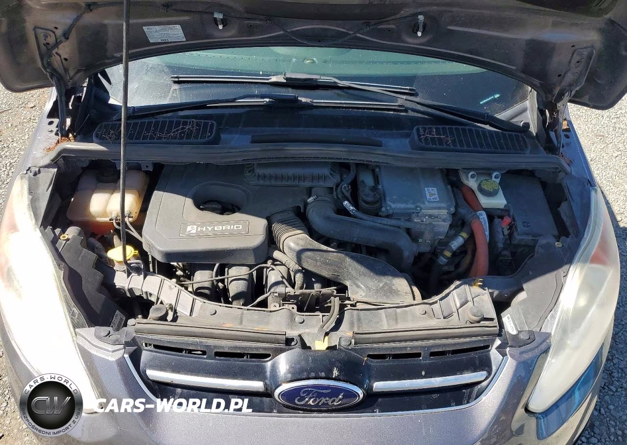 2013 Ford C-Max Sel VIN:1FADP5BU4DL549446 - 11