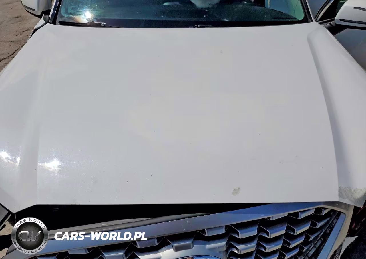 2021 Hyundai Palisade Sel VIN:KM8R44HE8MU210729 - 12