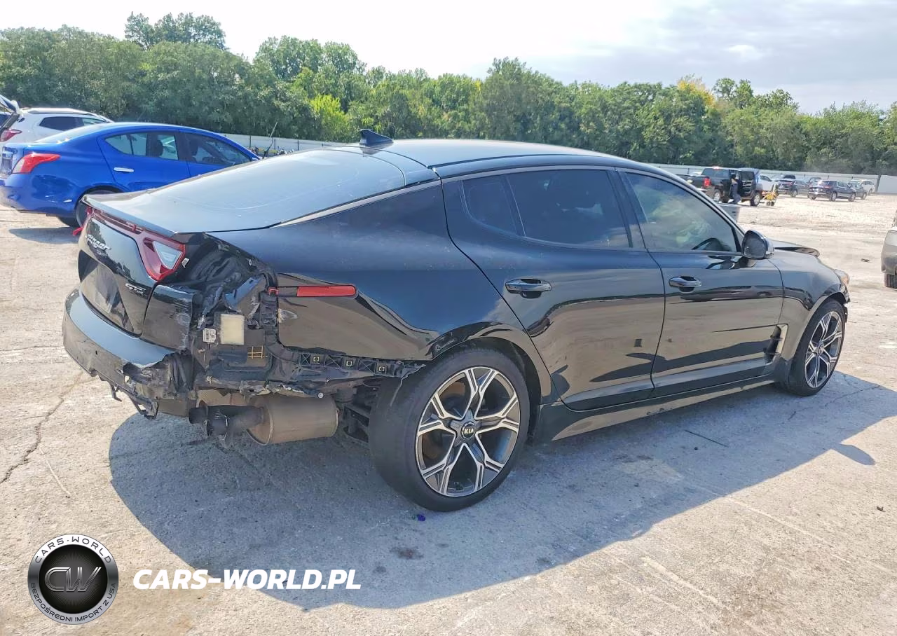 2020 Kia Stinger Gt-Line VIN:KNAE15LA3L6079277 - 3