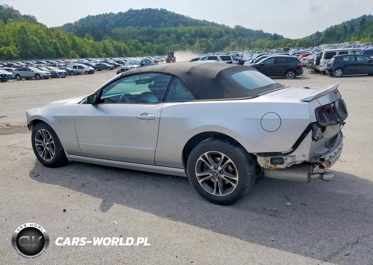 2014 Ford Mustang VIN:1ZVBP8EM7E5283597 - 2
