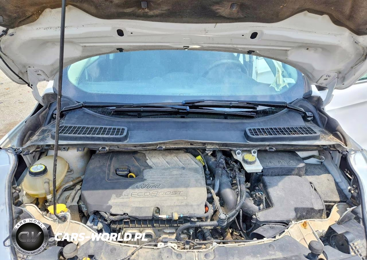 2018 Ford Escape Se VIN:1FMCU0GD1JUC59631 - 12