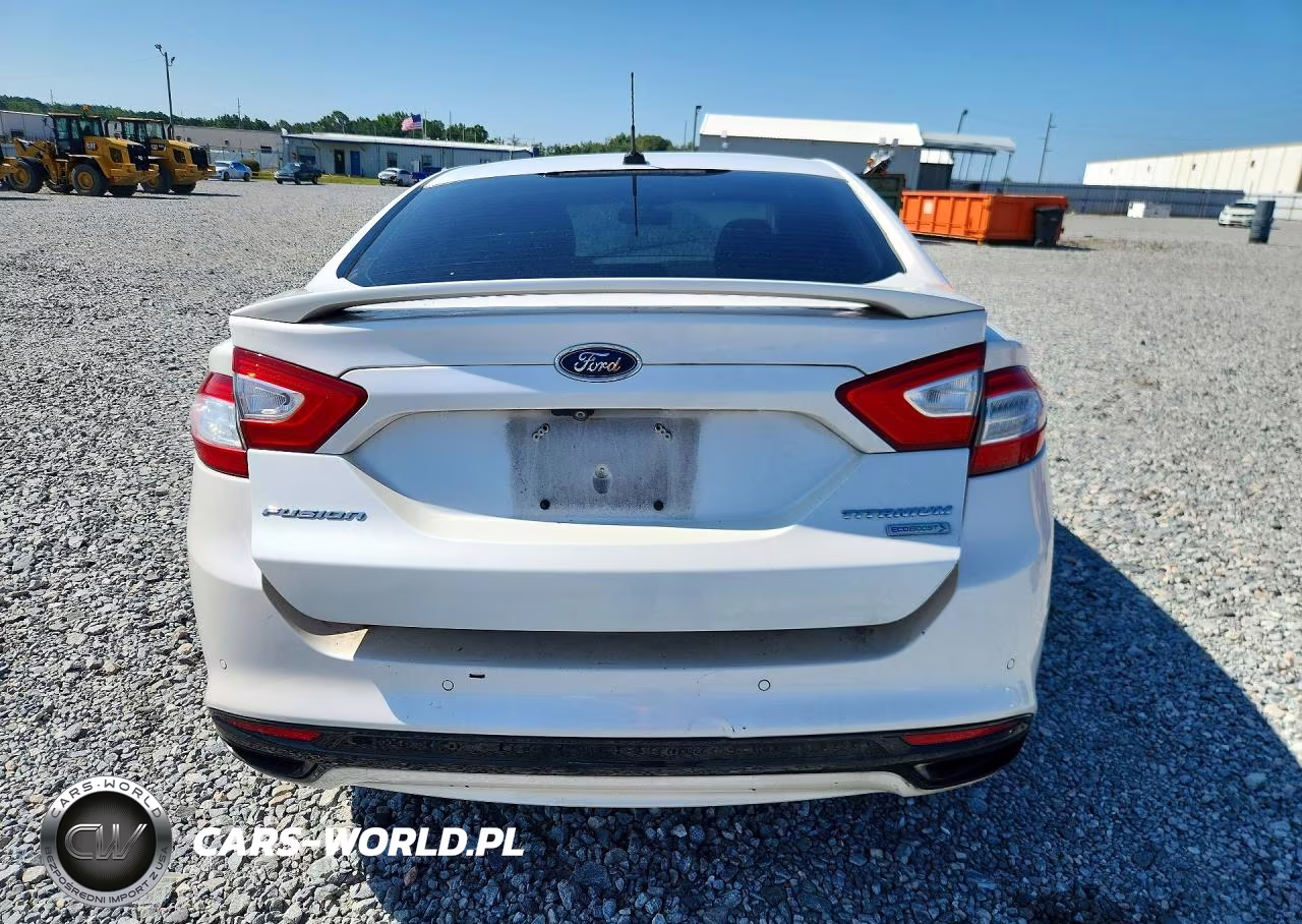 2014 Ford Fusion Titanium VIN:3FA6P0K94ER293268 - 6