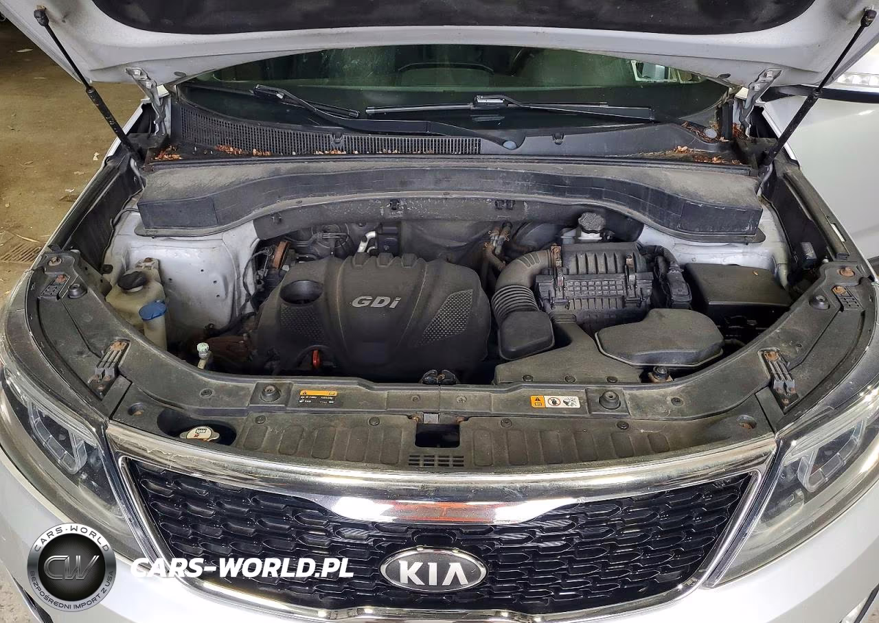 2014 Kia Sorento Lx VIN:5XYKT4A63EG466081 - 12