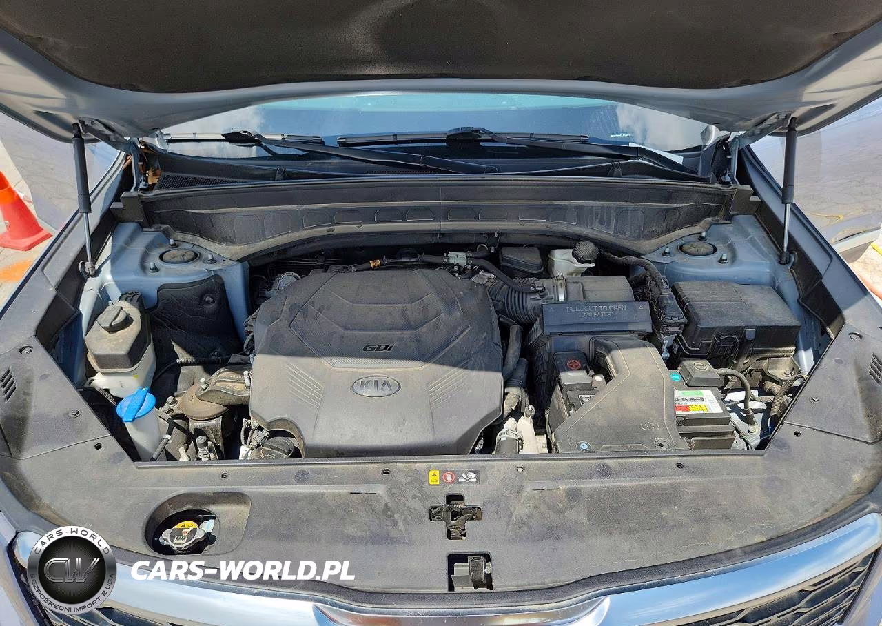 2020 Kia Telluride S VIN:5XYP64HCXLG010021 - 12