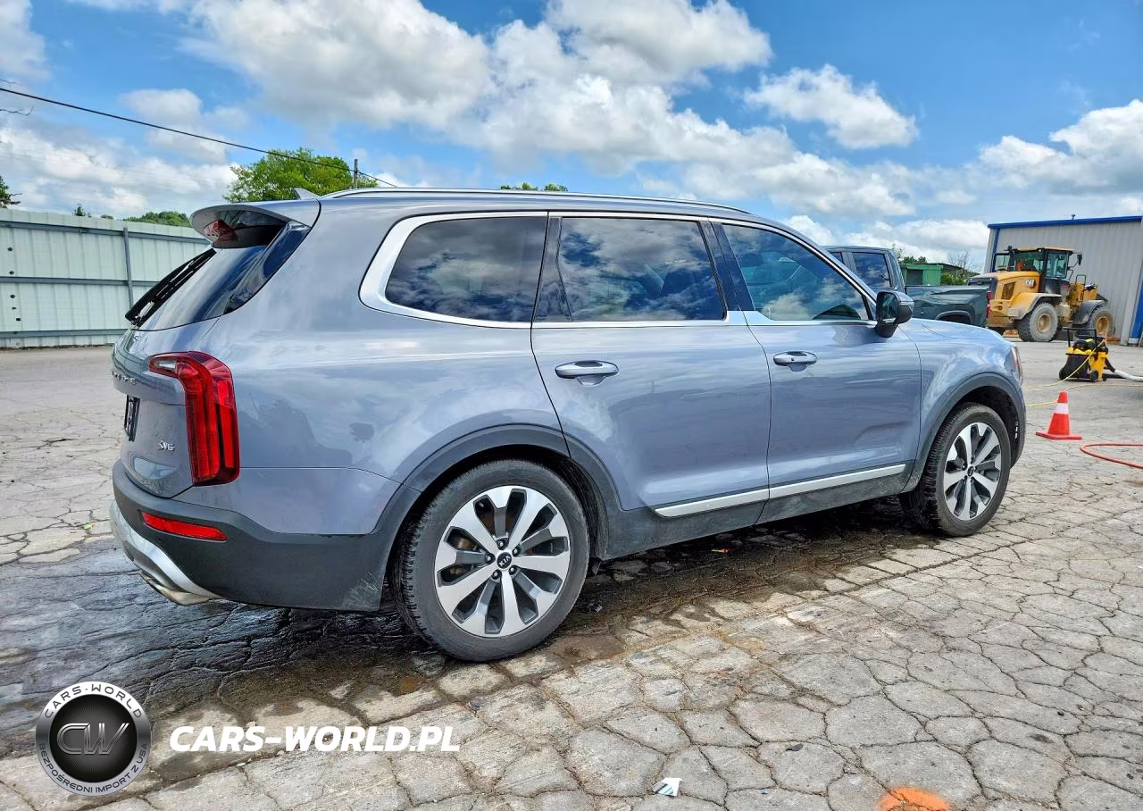 2020 Kia Telluride S VIN:5XYP64HCXLG010021 - 3
