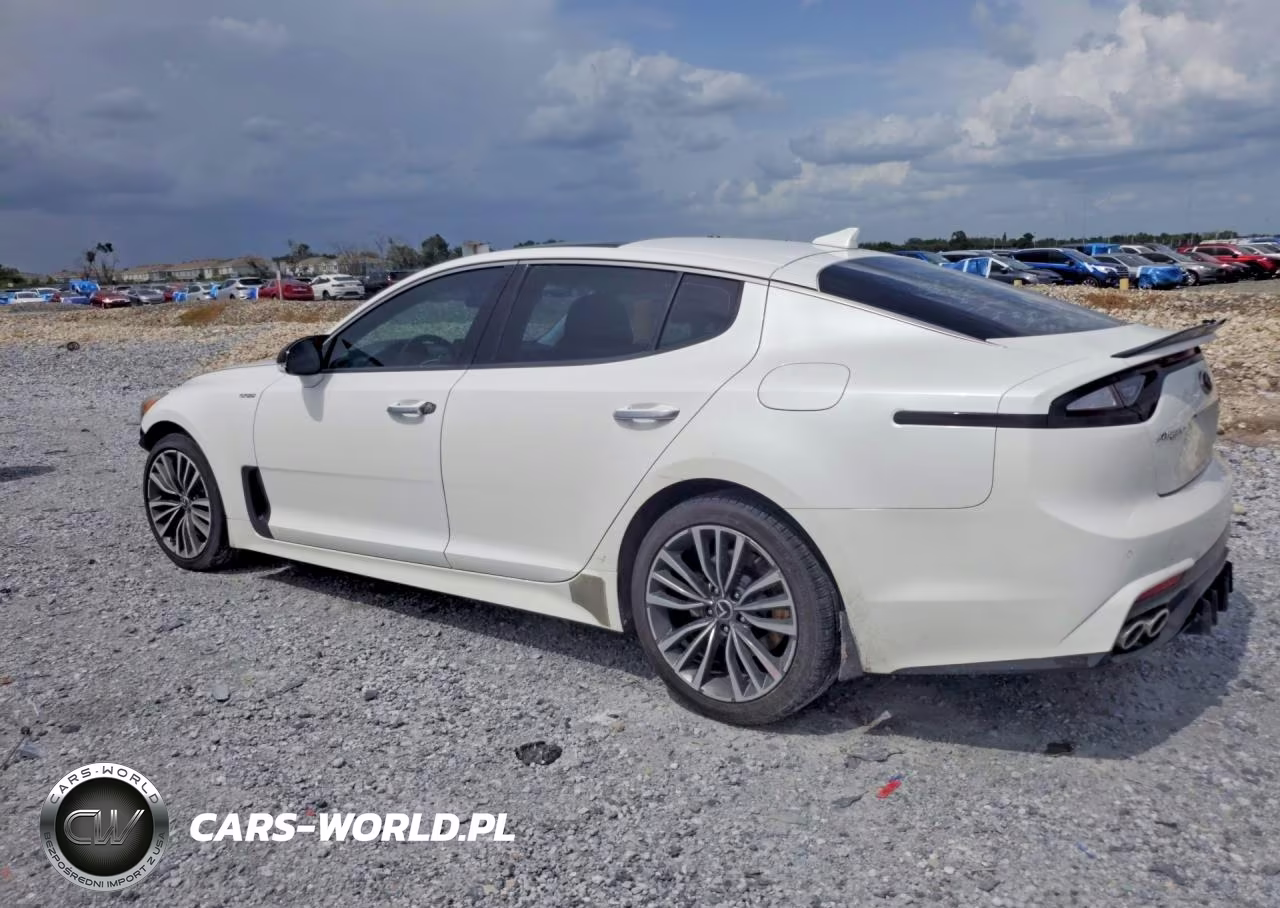 2019 Kia Stinger Base VIN:KNAE15LA7K6045180 - 2