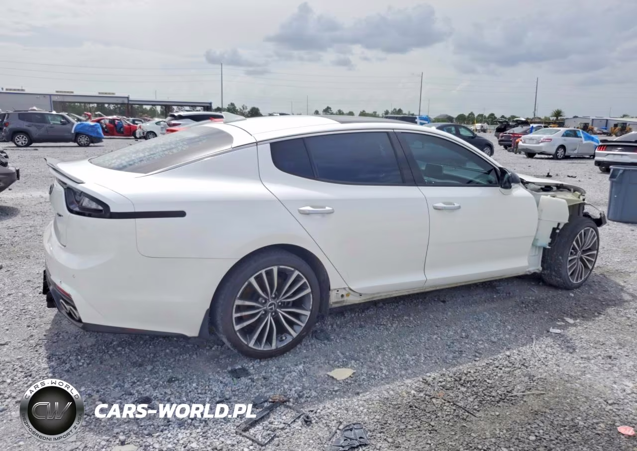 2019 Kia Stinger Base VIN:KNAE15LA7K6045180 - 3