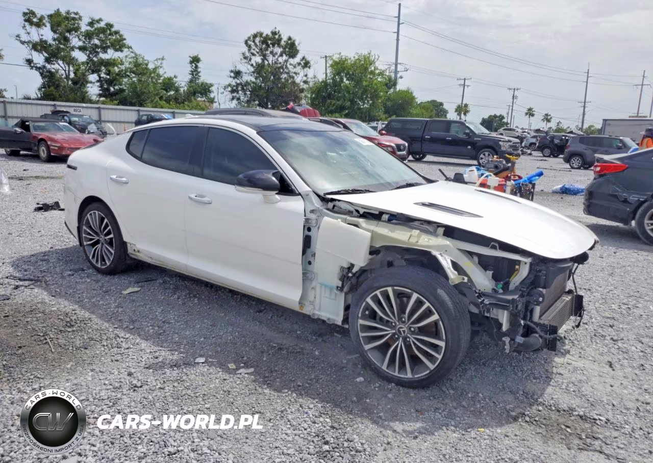 2019 Kia Stinger Base VIN:KNAE15LA7K6045180 - 4