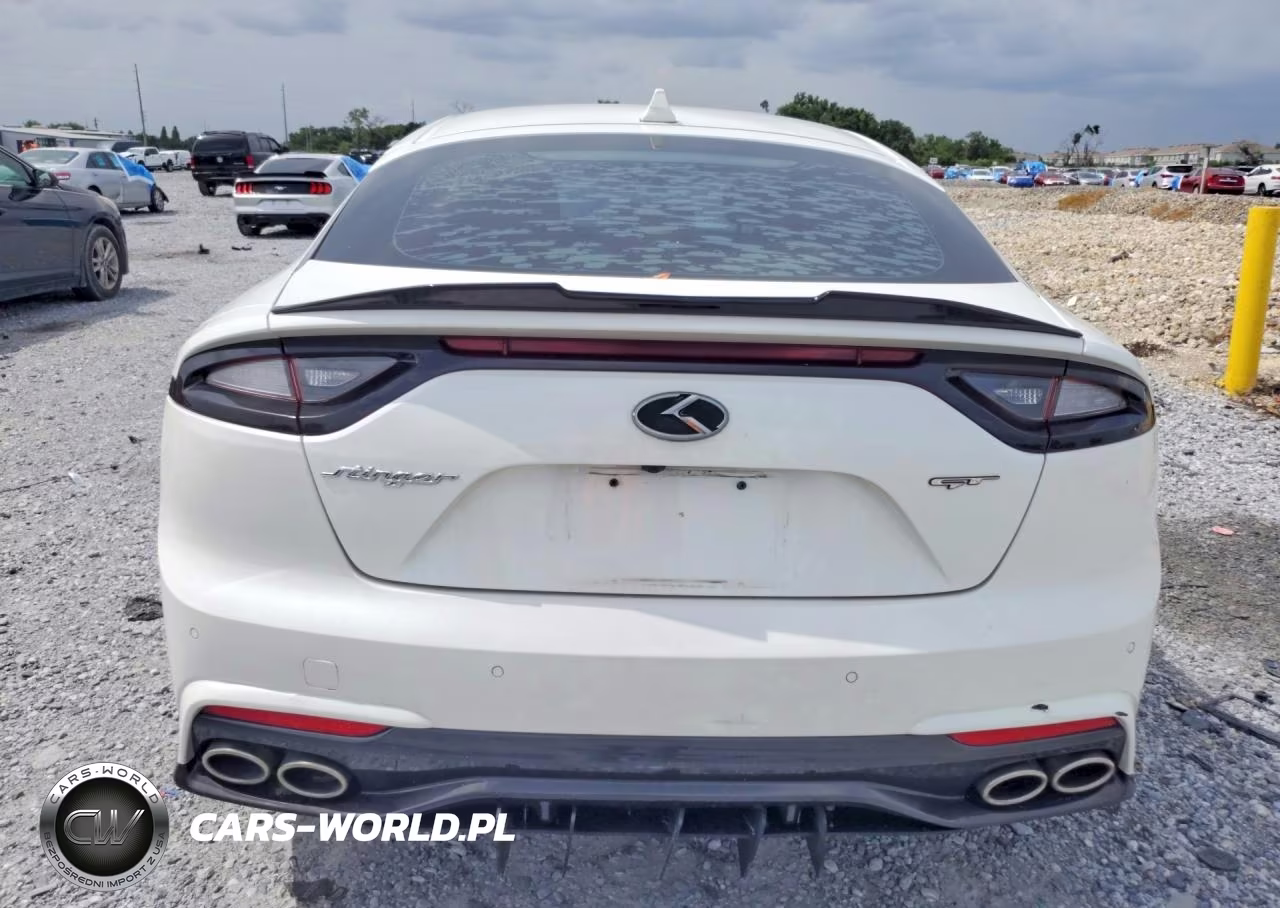 2019 Kia Stinger Base VIN:KNAE15LA7K6045180 - 6