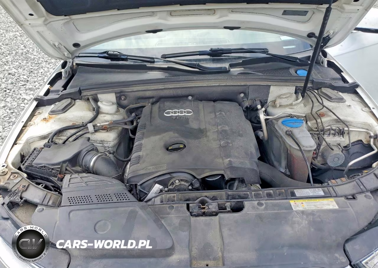 2014 Audi A4 Premium Plus VIN:WAUHFAFLXEA040741 - 11