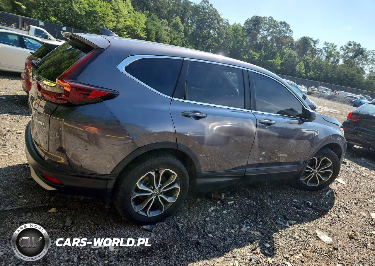 2020 Honda Cr-V Exl VIN:5J6RW2H89LL039999 - 3