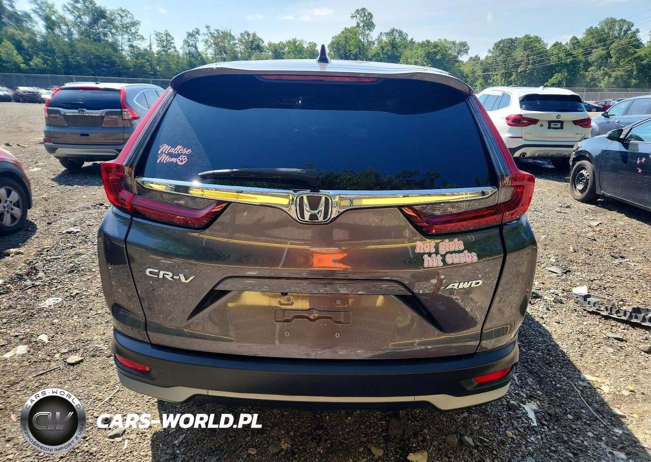 2020 Honda Cr-V Exl VIN:5J6RW2H89LL039999 - 6