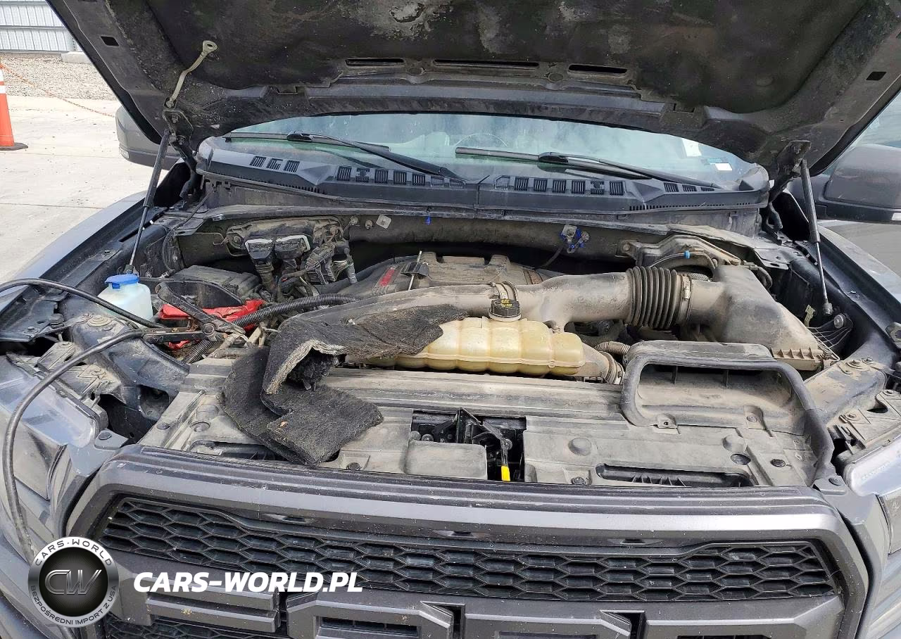 2020 Ford F150 Raptor VIN:1FTFW1RG6LFB47584 - 11