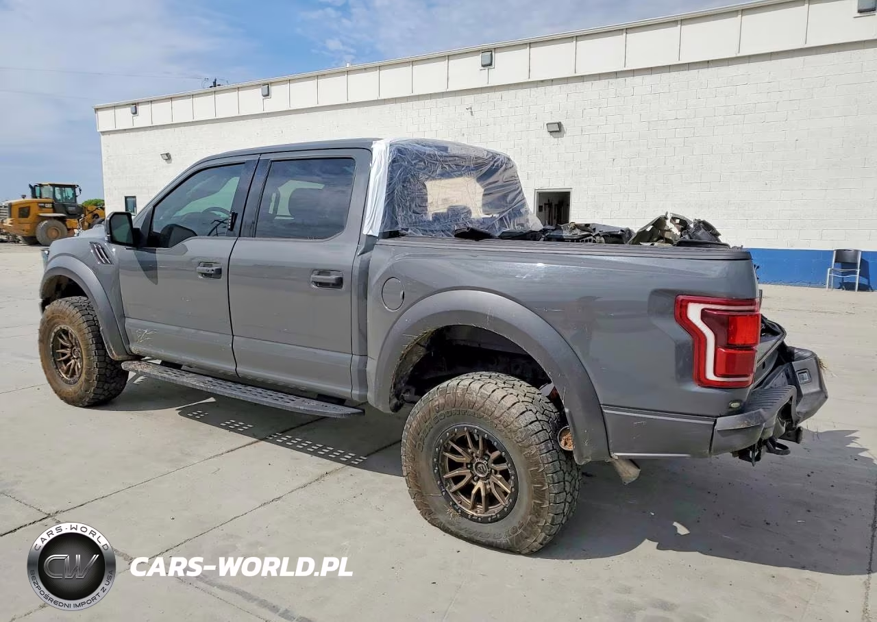 2020 Ford F150 Raptor VIN:1FTFW1RG6LFB47584 - 2