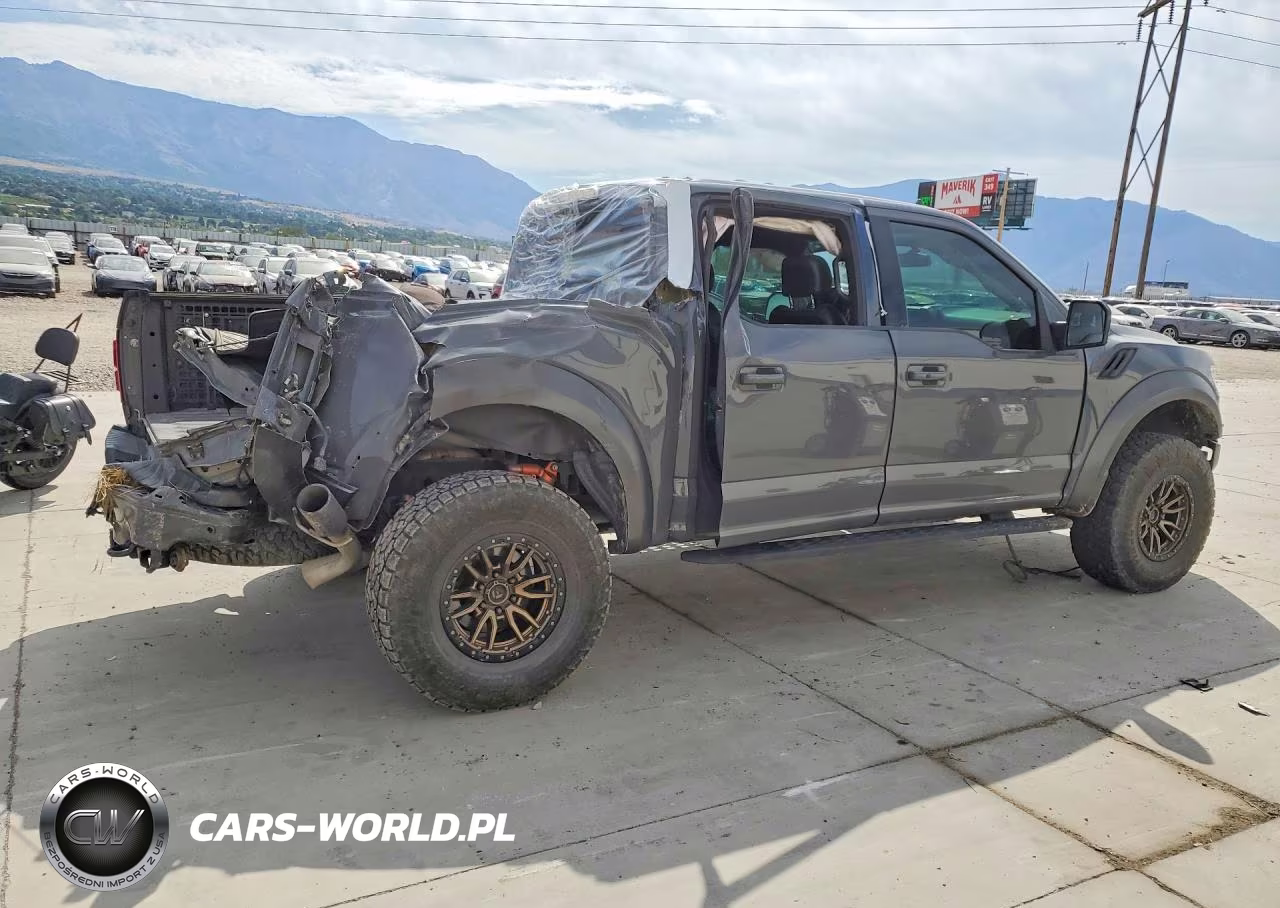 2020 Ford F150 Raptor VIN:1FTFW1RG6LFB47584 - 3