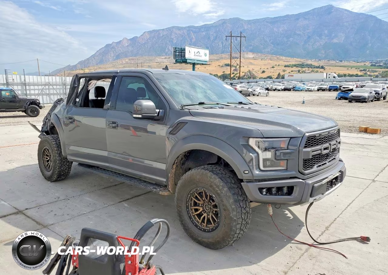 2020 Ford F150 Raptor VIN:1FTFW1RG6LFB47584 - 4
