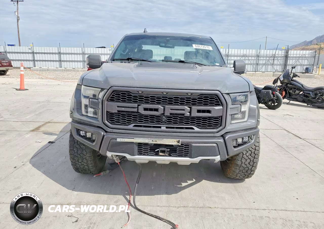 2020 Ford F150 Raptor VIN:1FTFW1RG6LFB47584 - 5