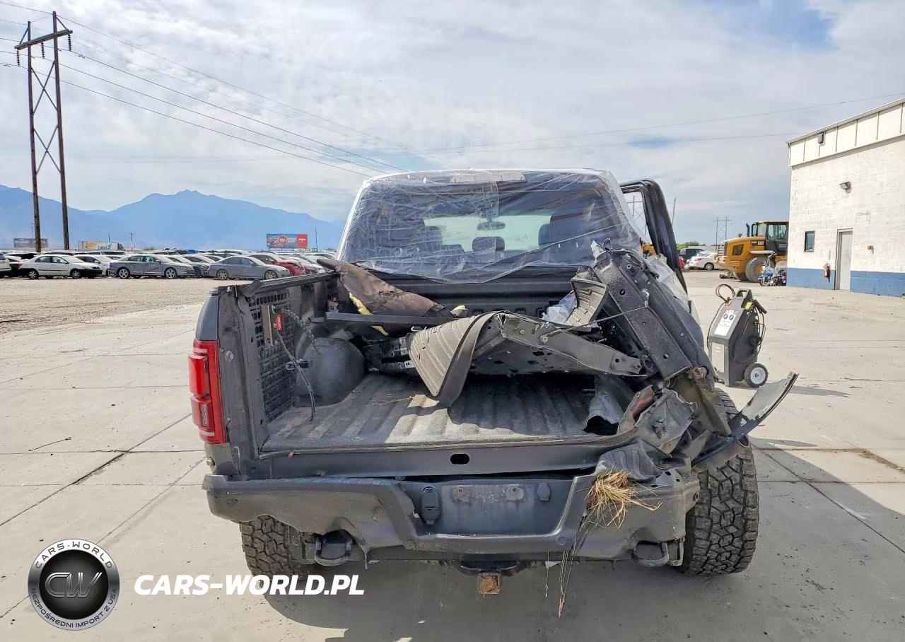 2020 Ford F150 Raptor VIN:1FTFW1RG6LFB47584 - 6