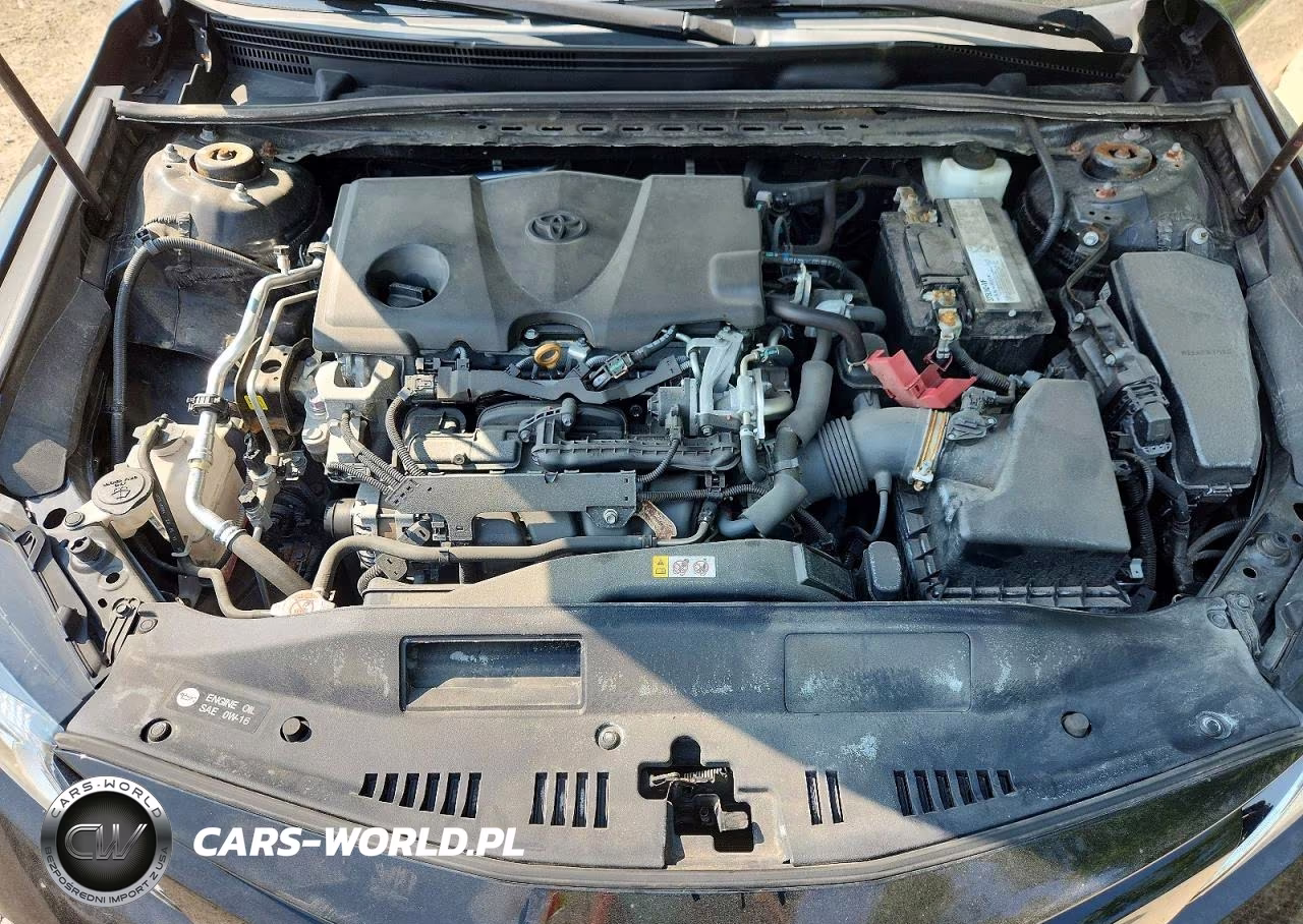 2019 Toyota Camry Le VIN:4T1B11HK0KU176426 - 11