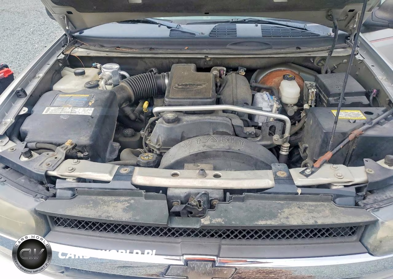 2004 Chevrolet Trailblazer Ls VIN:1GNDT13S842323502 - 12