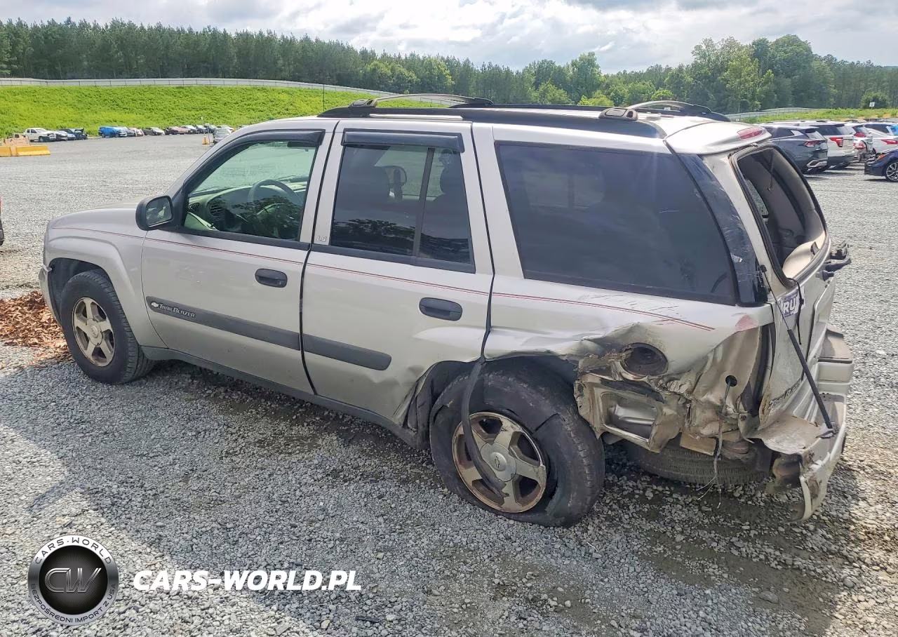 2004 Chevrolet Trailblazer Ls VIN:1GNDT13S842323502 - 2