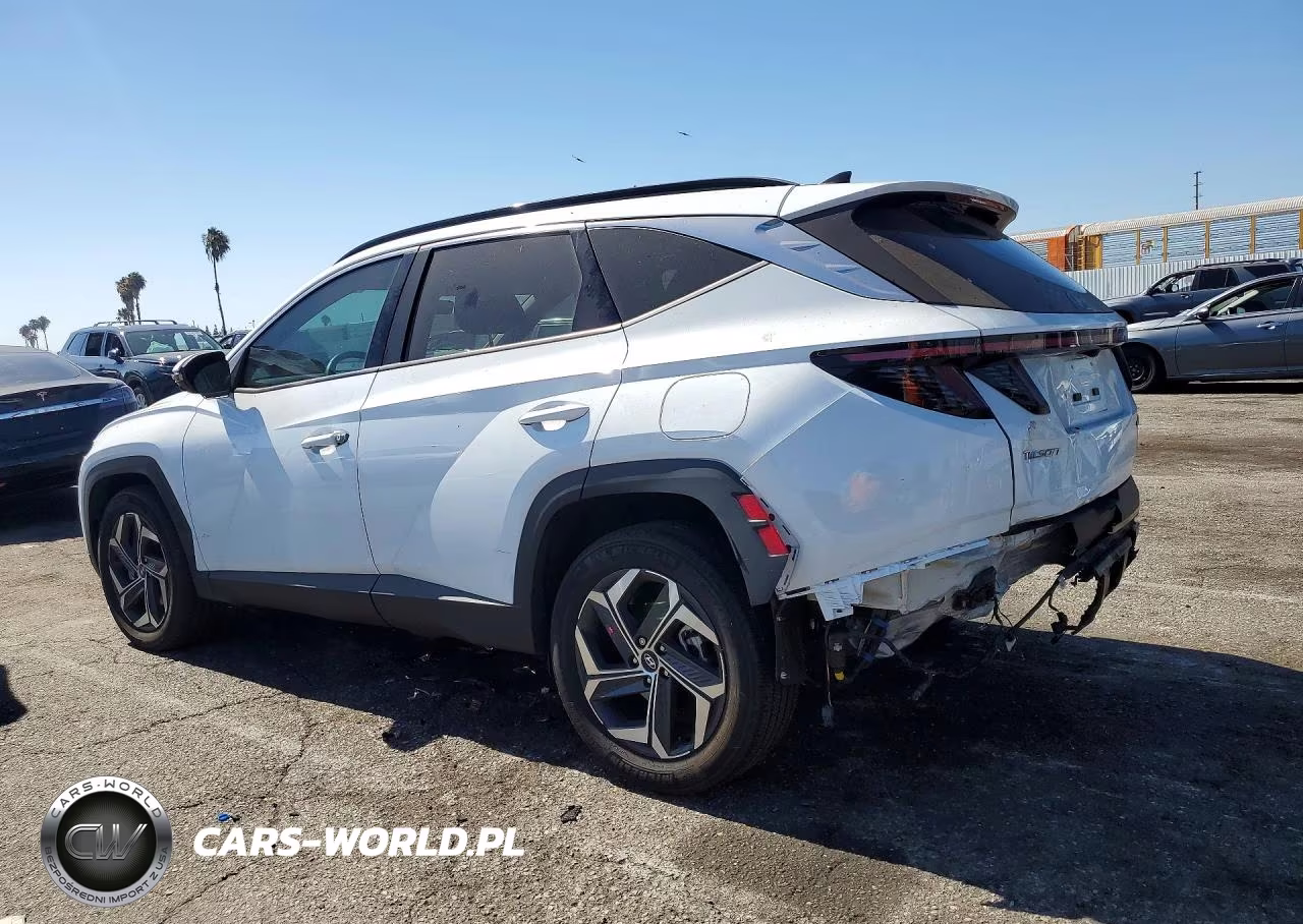 2024 Hyundai Tucson Limited VIN:KM8JECD18RU229344 - 2