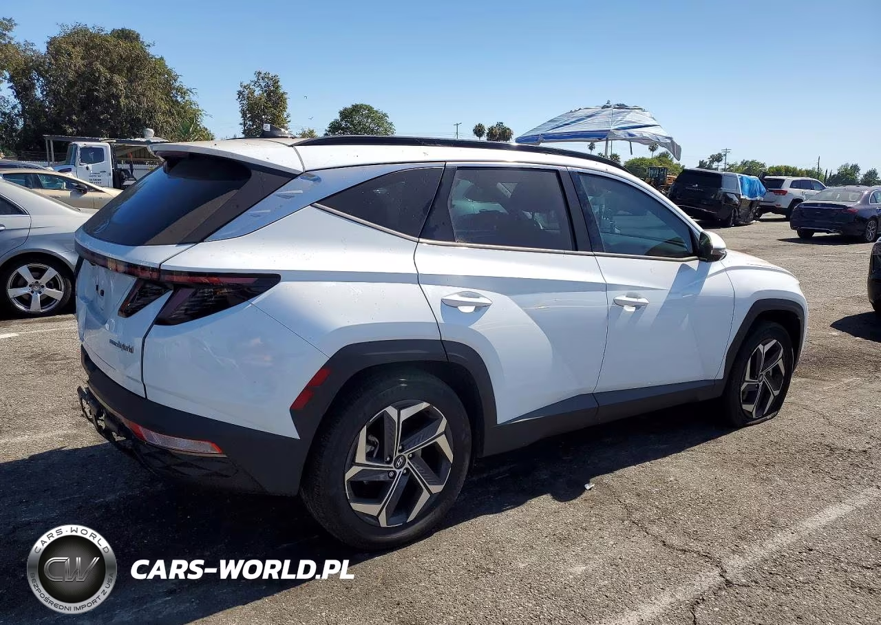 2024 Hyundai Tucson Limited VIN:KM8JECD18RU229344 - 3