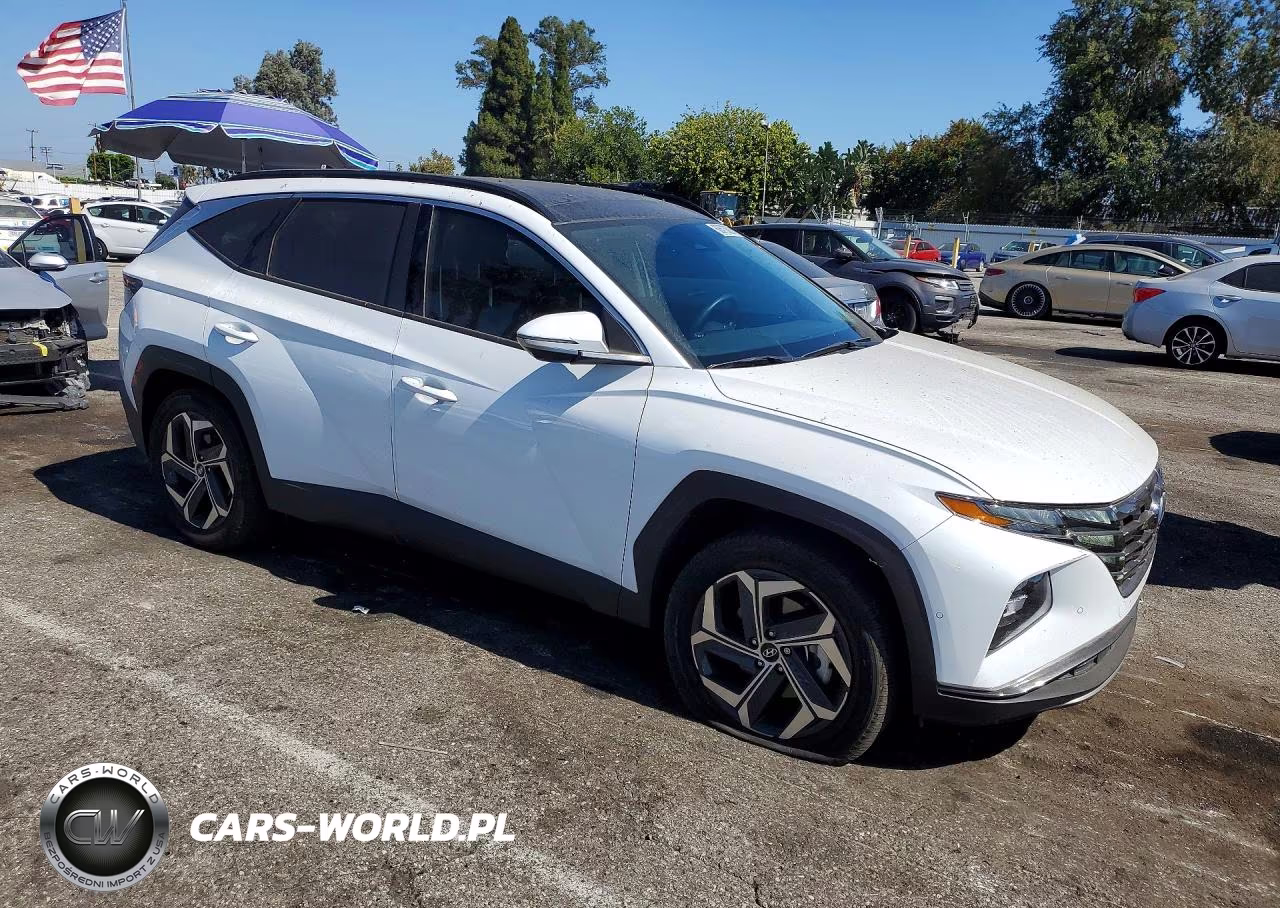 2024 Hyundai Tucson Limited VIN:KM8JECD18RU229344 - 4