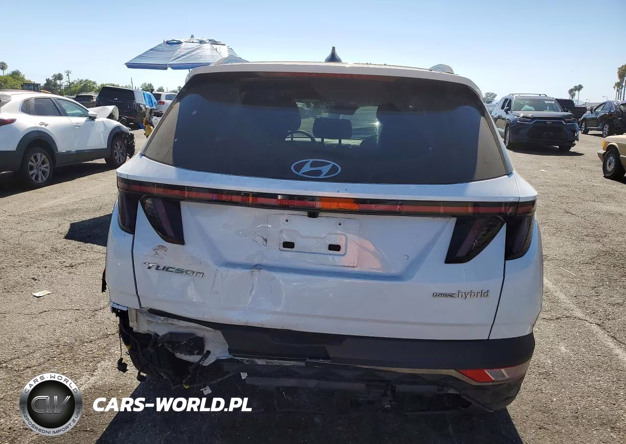 2024 Hyundai Tucson Limited VIN:KM8JECD18RU229344 - 6