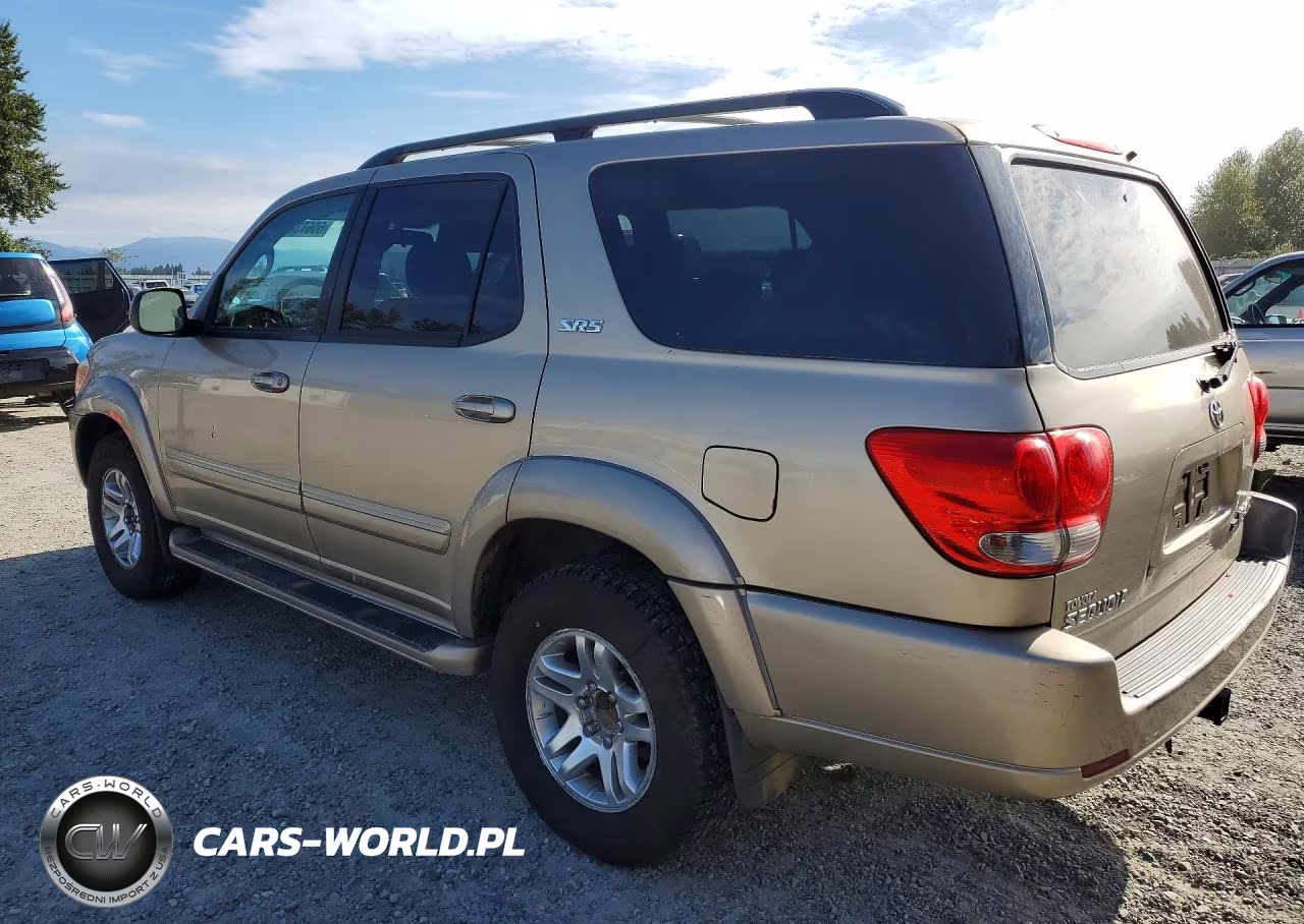 2006 Toyota Sequoia Sr5 VIN:5TDBT44A26S264546 - 2