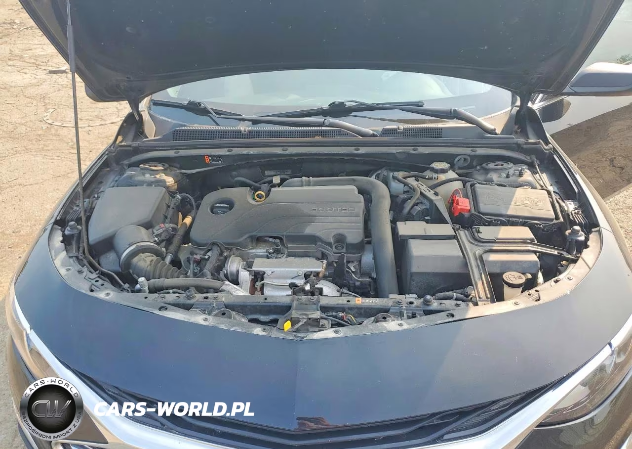 2019 Chevrolet Malibu Ls VIN:1G1ZB5ST4KF127350 - 11