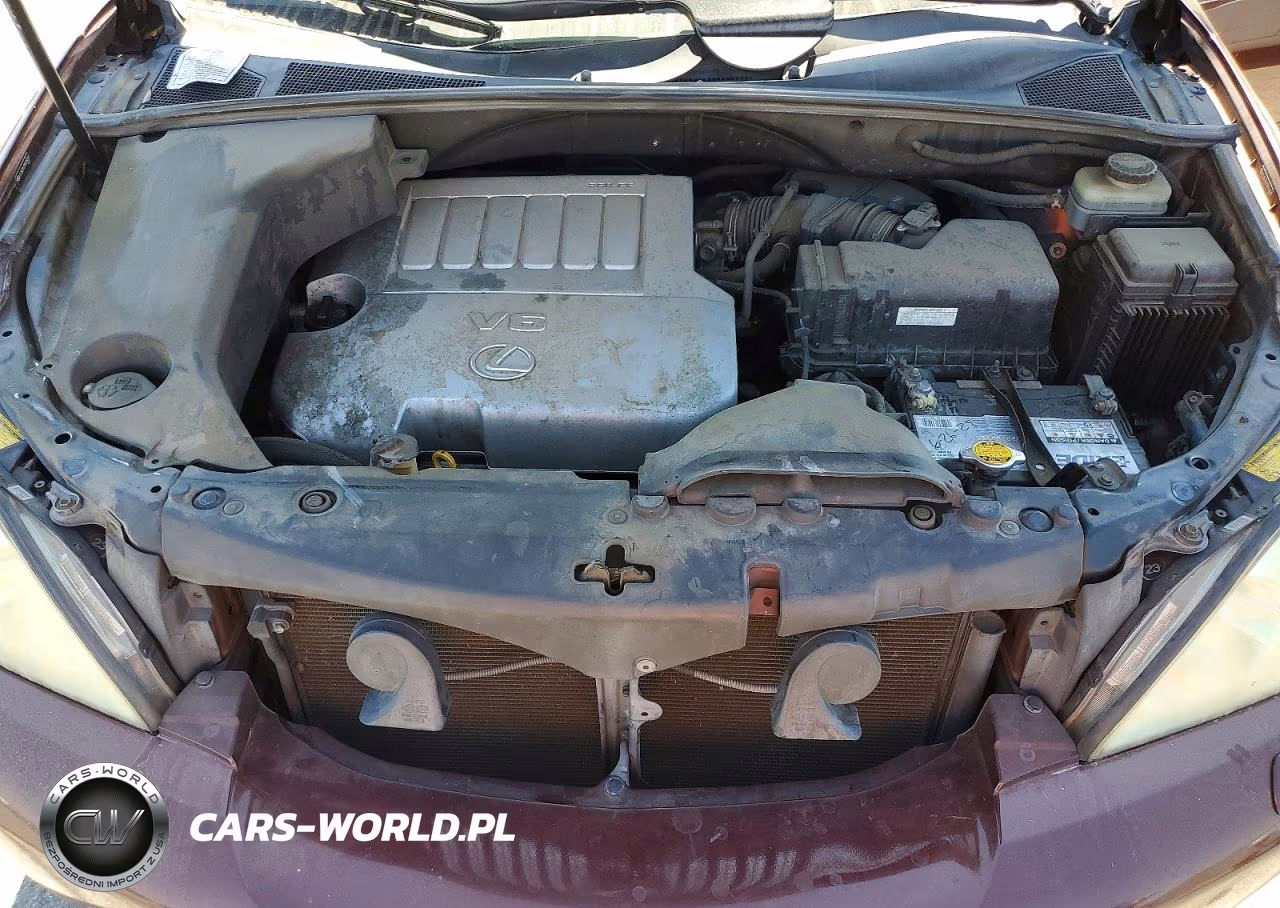 2009 Lexus Rx 350 VIN:JTJGK31U790016024 - 12