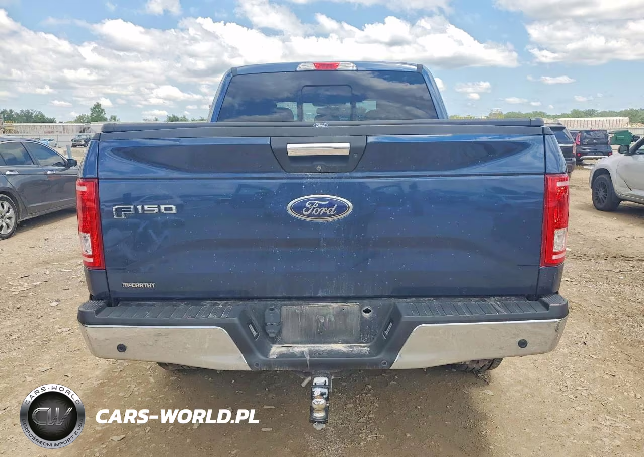 2017 Ford F150 Supercrew VIN:1FTEW1EP9HFC08189 - 6