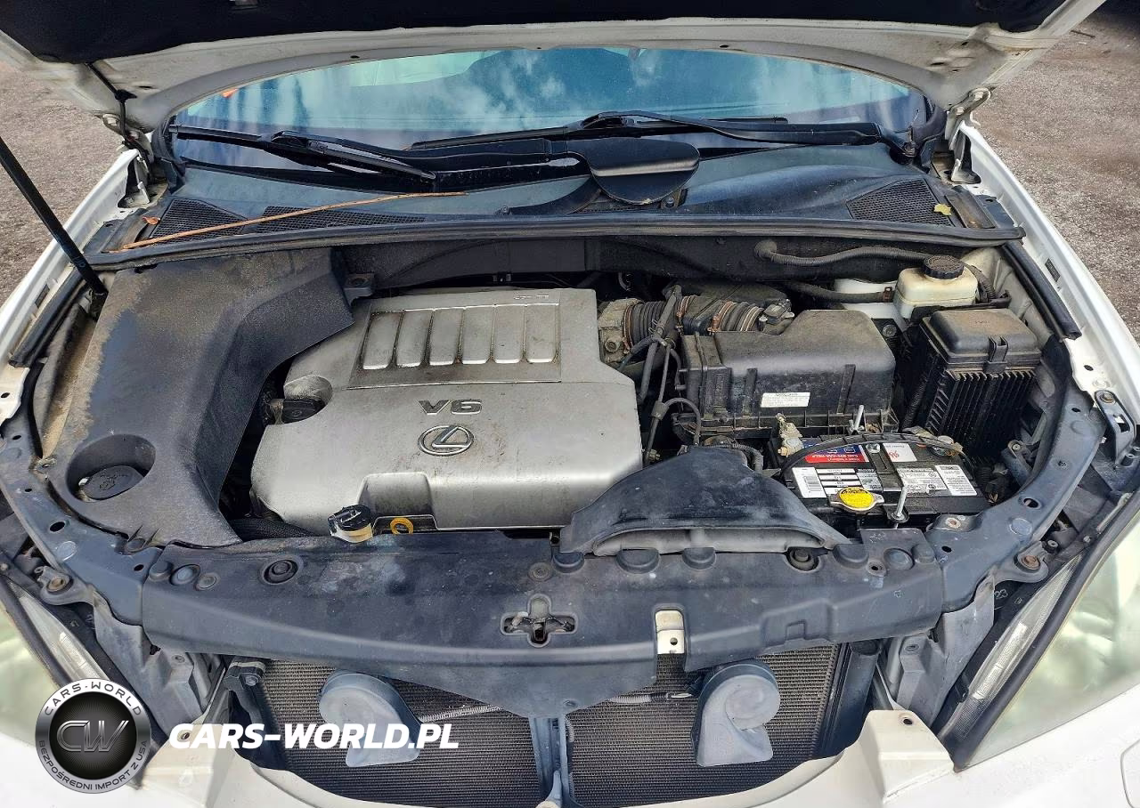 2009 Lexus Rx 350 VIN:2T2HK31U59C126577 - 11