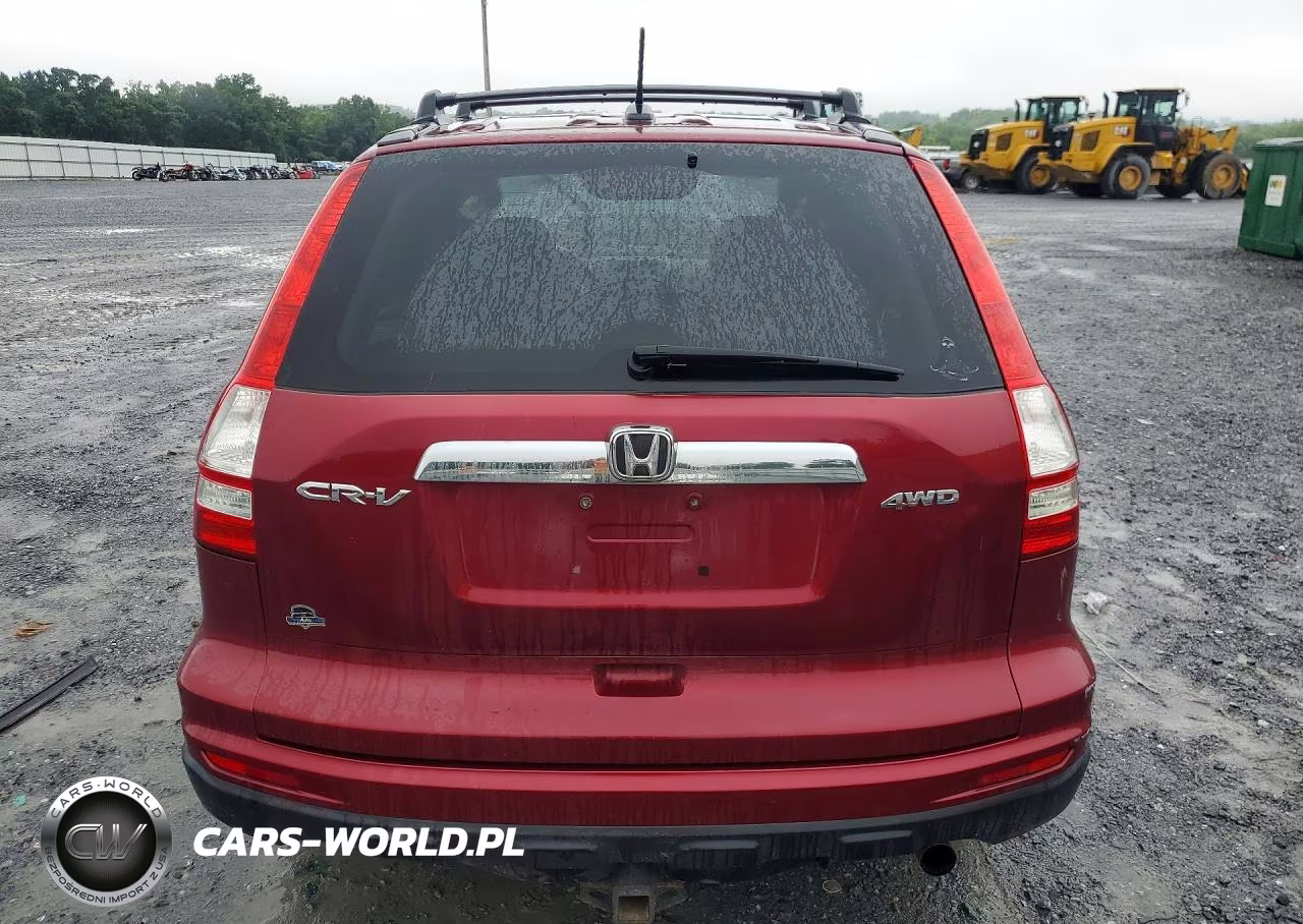 2010 Honda Cr-V Exl VIN:5J6RE4H7XAL029145 - 6
