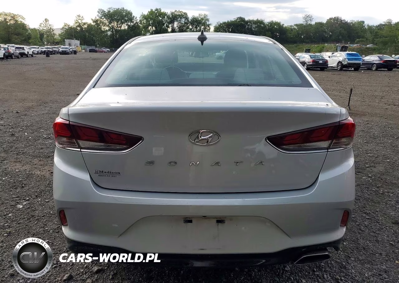 2019 Hyundai Sonata Sel VIN:5NPE34AF3KH801986 - 6