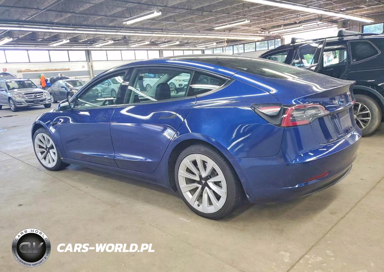 2022 Tesla Model 3 VIN:5YJ3E1EAXNF187830 - 2