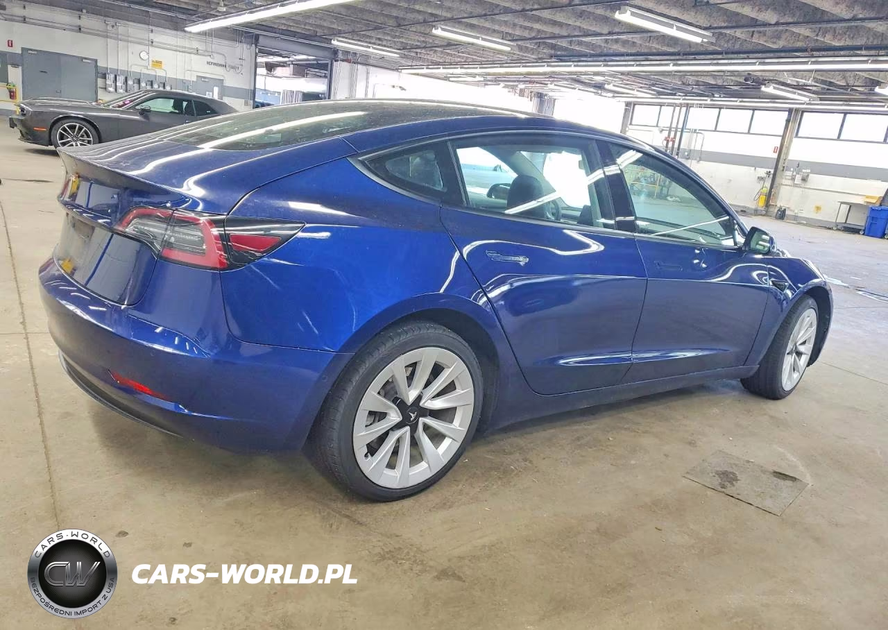 2022 Tesla Model 3 VIN:5YJ3E1EAXNF187830 - 3