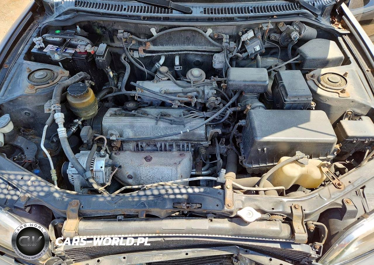 1997 Toyota Rav4 Base VIN:JT3GP10V0V0013449 - 12
